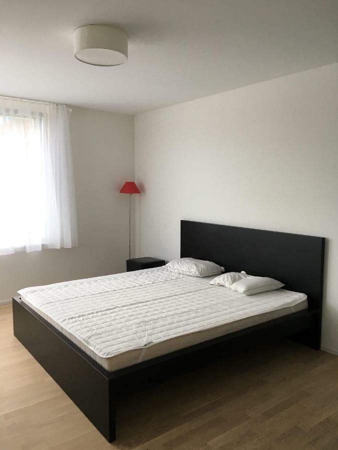 Close To Zuerich Centre And Airport Kloten Bagian luar foto
